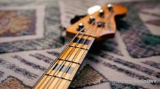 Udemy Complete electric bass course to improve your technique