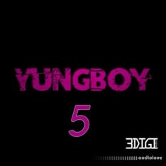 3 Digi Audio Yungboy 5