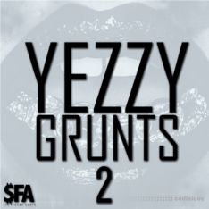 Big Citi Loops Yezzy Grunts 2