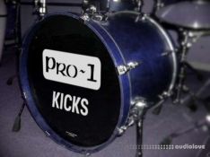 SHLD Music PRO-1 Analog Kicks