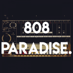S-X 808 Paradise Sample Pack