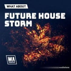 W. A. Production What About:  Future House Storm