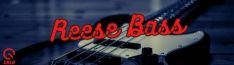 SHLD Music New PRO-1 Analog Sounds: Reese Bass