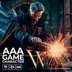 Epic Stock Media AAA Game Character Adult Wizard