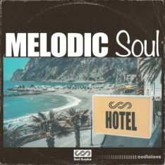 Soul Surplus Melodic Soul