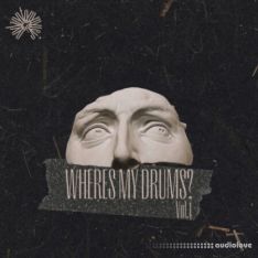 Podzontommusic Wheres my drums Vol.1