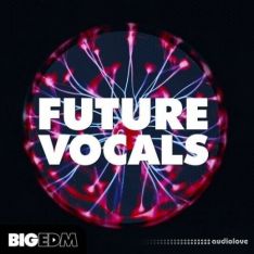 Big EDM Future Vocals