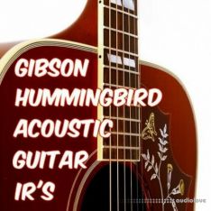 PastToFutureReverbs Gibson Hummingbird Acoustic Guitar Impulse Responses