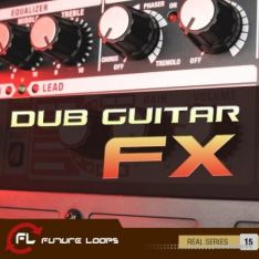 Future Loops Dub Guitars FX