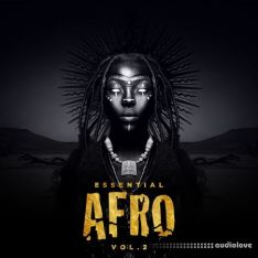 Retrohandz Essential Afro 2