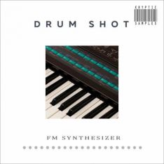 Kryptic Samples Drum Shot: FM Synthesizer