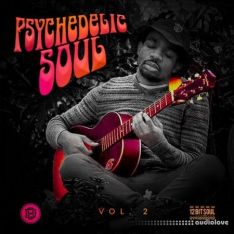 Divided Souls Psychedelic Soul Vol.2