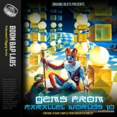 Boom Bap Labs Organic Beats Gems From Parallel Worlds 10