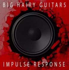 Big Hairy Profiles Big Hairy Guitars IMPULSE RESPONSE