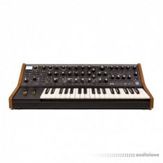 LFO Store SR Moog Subsequent 37 Quasar 40 Sequences