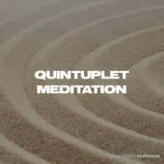 W6RST Tim Henson Quintuplet Meditation Tabs