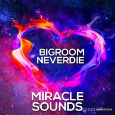 Miracle Sounds Bigroom Neverdie