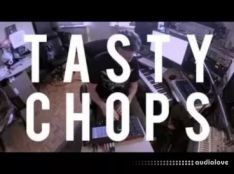 Tasty Chops Pre-chopped Sound Samples BUNDLE