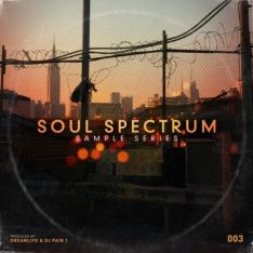 The Sample Lab Soul Spectrum Vol.3 (Compositions And Stems)