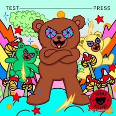 Test Press Teddy Killerz Dubstep and Tearout Vol.2