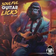 Vanilla Groove Studios Soulful Guitar Licks Vol 1