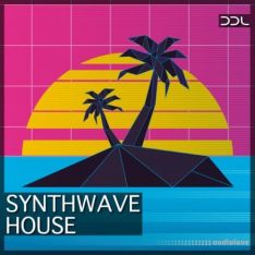 Deep Data Loops Synthwave House