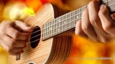 Udemy Fingerpicking Ukulele