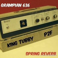PastToFutureReverbs Grampian 636 King Tubby Spring Reverb