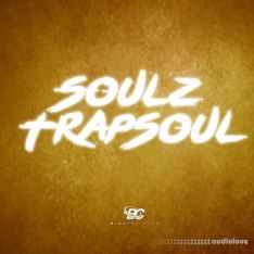 Big Citi Loops Soulz Trapsoul