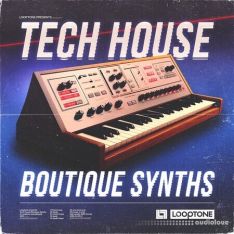 Looptone Tech House Boutique Synths