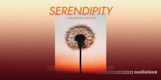 Spitfire Audio Joshua Meltzer Serendipity