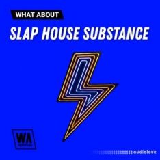 W. A. Production What About: Slap House Substance