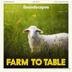 Splice Soundscapes Farm to Table