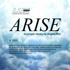 Lux Cache LC Producer Series :'ARISE' BY ANGELA POH