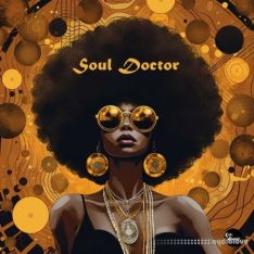 LEX Sounds Soul Doctor: Vintage Soul