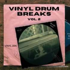 PastToFutureReverbs Vinyl Drum Breaks Vol.2