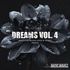 Basic Wavez Dreams Vol.4 Melodic House and Techno Presets for Serum (Platinum)