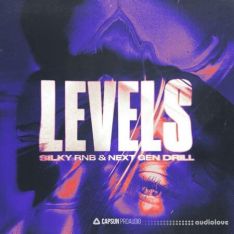 Capsun ProAudio Levels: Silky RnB and Next Gen Drill