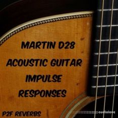 PastToFutureReverbs Martin D-28 Acoustic Guitar Impulse Responses