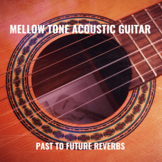 PastToFutureReverbs Mellow Tone Acoustic Guitar For Kontakt!