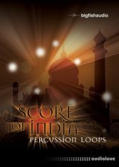 Big Fish Audio Score of India Percussion Loops