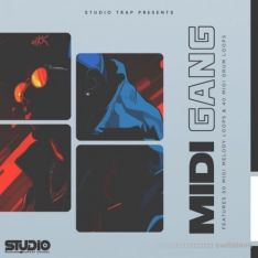 Studio Trap Midi Gang Vol 1