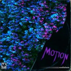 Major Loops Motion