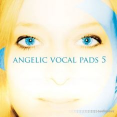 Precisionsound Angelic Vocal Pads 5