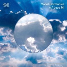 Sonic Collective Vocal Harmonies w/ Leza Mi