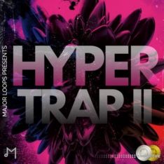 Major Loops Hyper Trap 2