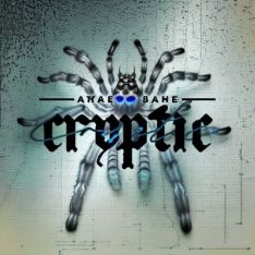 CRYPTIC Analog Collection