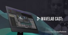 Steinberg WaveLab Cast