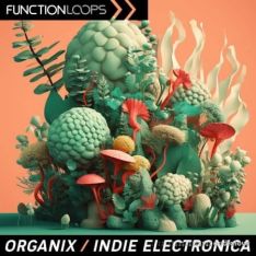 Function Loops Organix Indie Electronica