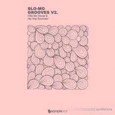 Samplestar Slo Mo Grooves V2